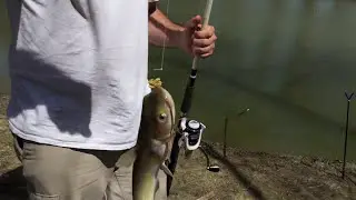 Catfishing North Fork Salt Creek - April 2017