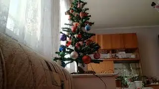 КТО ИЛИ ЧТО ПРОЯВИТСЯ В ЯНВАРЕ