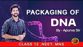 Packaging of  (DNA) | CLASS 12 BIOLOGY | MNS | NEET 2021