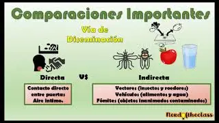 Cadena Epidemiológica