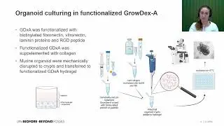 Rosa Karvonen, UPM Biomedicals - Optimization of GrowDex-A for mouse intestinal organoid cultivation