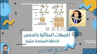 الحلقة 17 - الصفات المتأثرة بالجنس