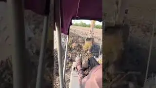 Satisfying Excavator Work | Perfect Digging Video#reality#video#vairal#jcb#youtub#shorts