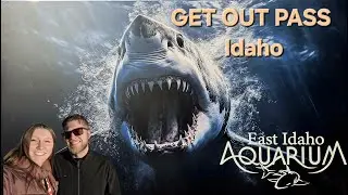 Get Out Pass East Idaho Aquarium and Bricks & Minifigs