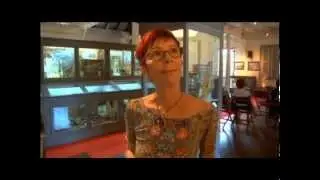 Exposition Margot Asphe au mus&eacute;e Saint James F&eacute;vrier 2015