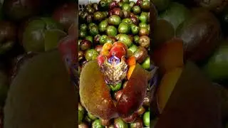 new trend spanish plum, sineguelas fruit #shorts #spanishplum #sineguelas