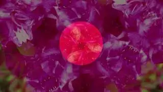 Recorded Live visuals with live eurorack modular performance from BAD WORKMAN.