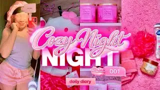 daily diary 001 | COZY NIGHT ROUTINE 🛁 — unwind w/ me (shower, skincare, editing, feeding cats)