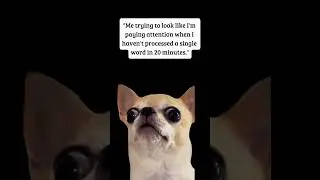 #adhdlife #adhd #neurodivergent #funny #relatable