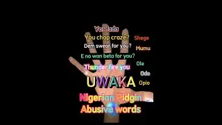 COMMON ABUSIVE WORDS IN NIGERIAN PIDGIN #pidginenglish #nigerianpidginenglish