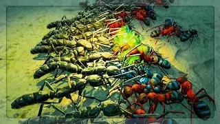Matabele Ants VS Everything in Empires Of The Undergrowth