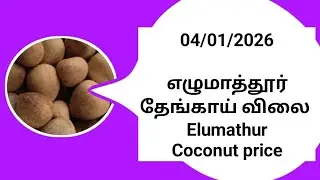 04 | 01 | 2026 எழுமாத்தூர் தேங்காய் விலை /Elumathur coconut price