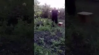 Djiaka