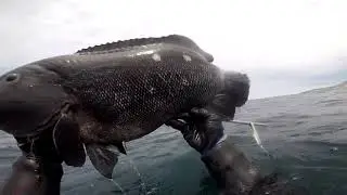 pesca submarina Taltal Chile. Aventura sub N°15. Lorenzo Alejandro.
