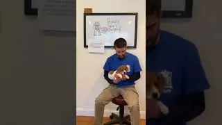 Peanut's Heart Surgery
