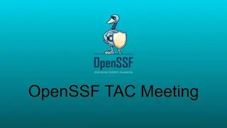 OpenSSF TAC  (June 13, 2023)