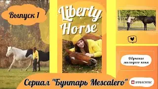 Серия 1 сериала Liberty horse про заездку молодого жеребца.