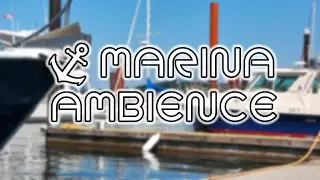 Marina Ambience ⚓ | ASMR | Ambient sea and boat sounds for studying, relaxing, meditation