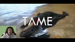 Struck in a island 