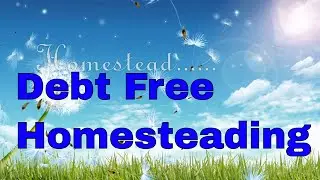 Homesteading with Little to No Money ,MOBILE HOME HOMESTEADING