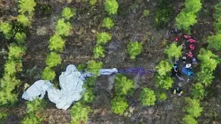 Gas balloon crash in Georgia tied to same race as Texas balloon crash