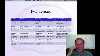 GenPsych Course 2020, Perception 2: The 5+2 Senses