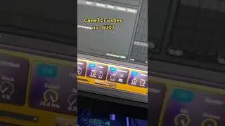 Live CamelCrusher Wrapper? 👀👀👀