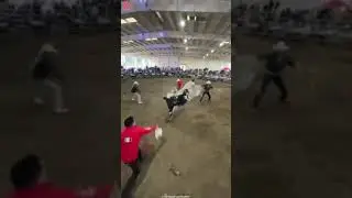 qu&eacute; torazo tumbando a gallito de Morelia siendo uno de los mejores jinetes de la actualidad #jaripeo