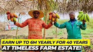 Earn Up to ₦6 Million Yearly for 40 Years | Timeless Farm Estate Investment Ogun State