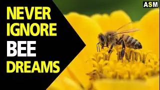 What does Bees dream meaning | Dreaming of Bee | Bees dream interpretation