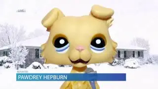 LITTLEST PET SHOP NEWS SPECIAL REPORT: TOM DAWSON SPOTTED - BREAKING NEWS UPDATE #5
