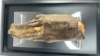Ancient Egyptian Mummified Hand | DNA Verified, X-Ray Analysis & Artifact Report @RelicRarity