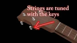 3D Banjo Animation