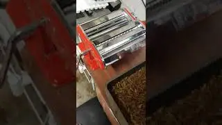 Shredding home grown tobacco