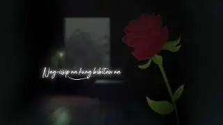 Playlist Lyric Video: 