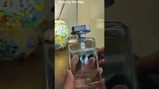 Ajmal Silent Storm # Best Monsoon Perfume In Budget #Perfumes#Scent#Fragrance