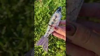 Custom Paint on KGB Chad Shad by Little River Lure Lady #handmadelure #fishingbaits #glidebait