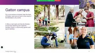 Webinar UniCauca y University of Queensland - LAE International Education