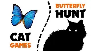 Games for cat ★ BUTTERFLY hunt on screen