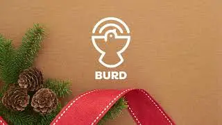 Space Elevator - Burd