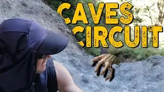 Binna Burra Caves Circuit & Natural Bridge, Springbrook NP QLD