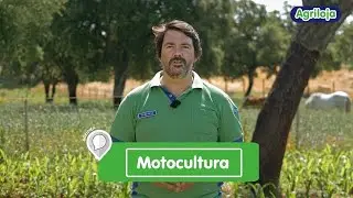 Agridica Agriloja - Motocultura