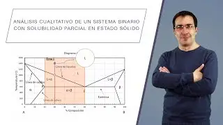 Análisis cualitativo de un sistema binario con solubilidad parcial en estado sólido