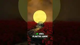 Tudo que plantar, tamb&eacute;m COLHER&Aacute;.