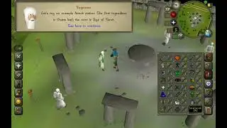 OSRS - How to make 10hp str pure Ironman