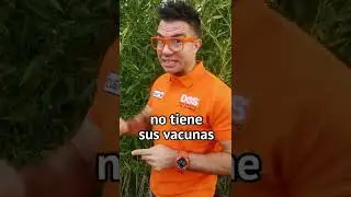 ⚠️ Ense&ntilde;ar a un CACHORRO a hacer sus NECESIDADES 🐶 | 3 momentos CLAVE 📝