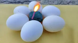 Eggs Vs Sutli Bomb - Diwali Special Experiment