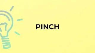What is the meaning of the word PINCH?