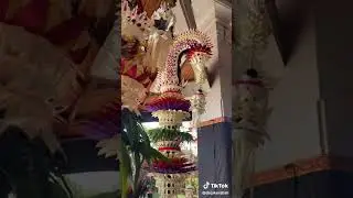Penjor tugek