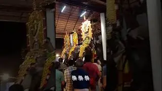 ✌️ശങ്കരം കണ്ടം പൂരം ✌️ #pooram  /Neethu sumesh ❤️